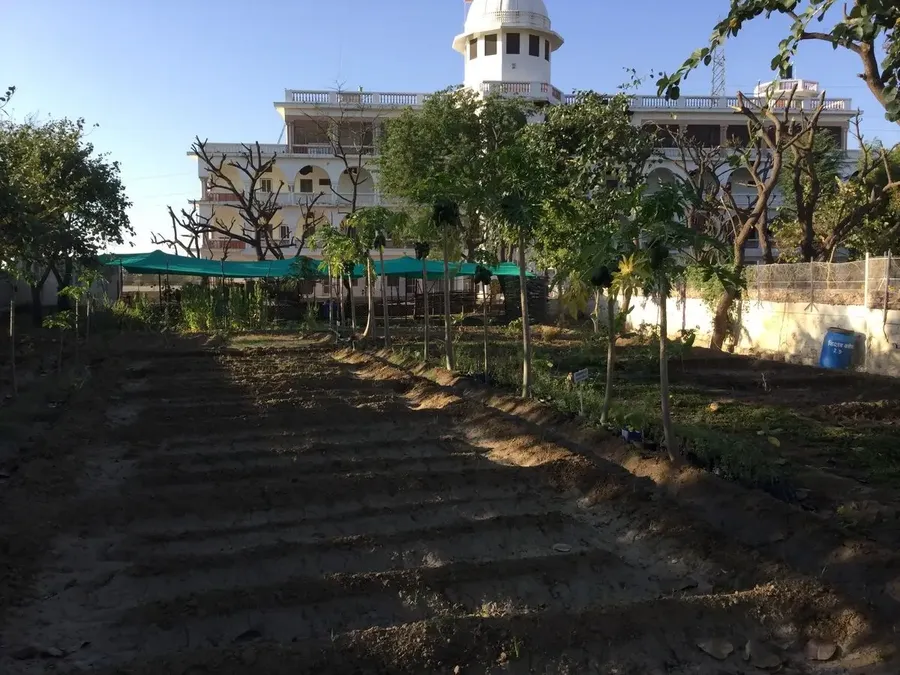 sending-spring-flowers-from-jadan bodyImage